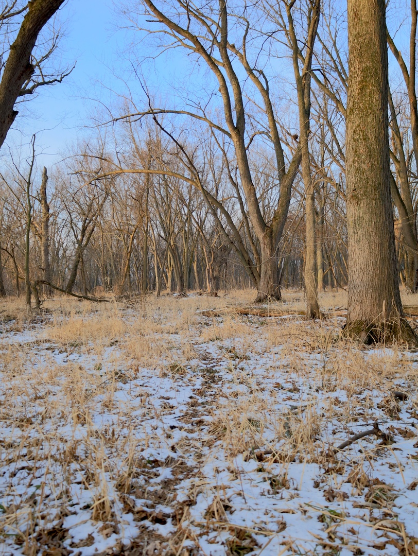 0 Us Bypass Freeport, IL 61032 - Photo 33 of 43 a view of yard covered with snow