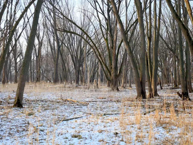 a view of outdoor space