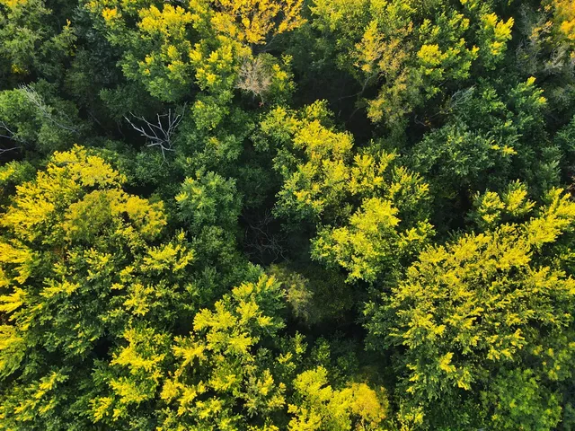 $306,000 | 0 Us Bypass, Freeport, IL 61032