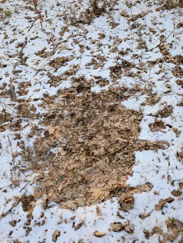 $306,000 | 0 Us Bypass, Freeport, IL 61032