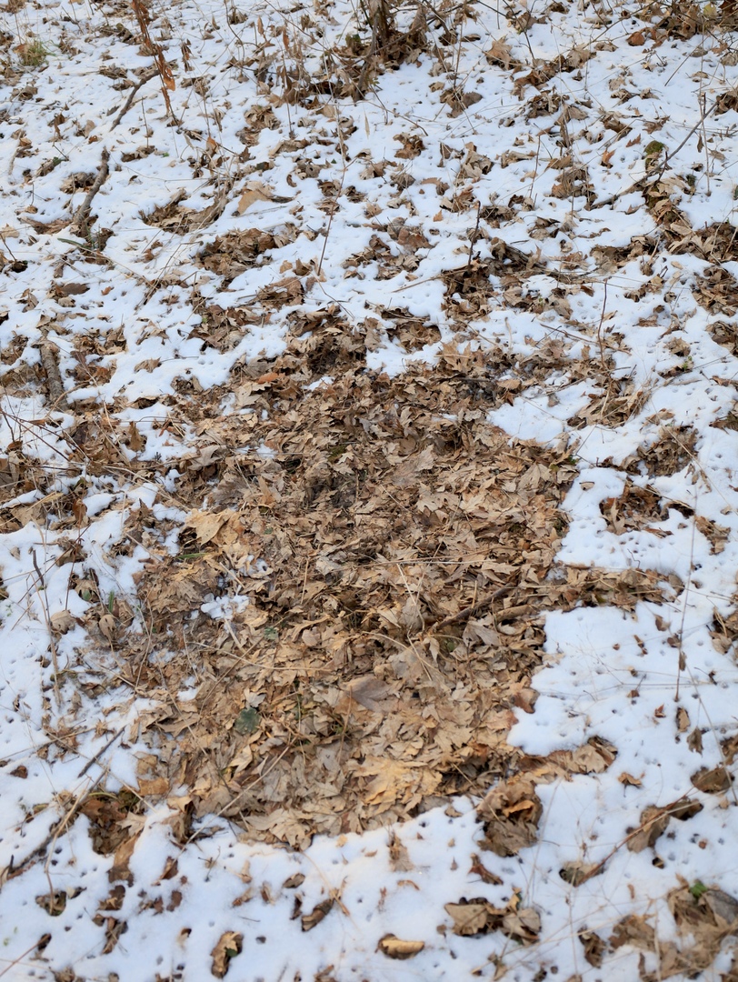 0 Us Bypass Freeport, IL 61032 - Photo 36 of 43