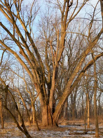 $306,000 | 0 Us Bypass, Freeport, IL 61032