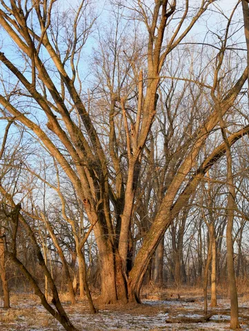 $306,000 | 0 Us Bypass, Freeport, IL 61032