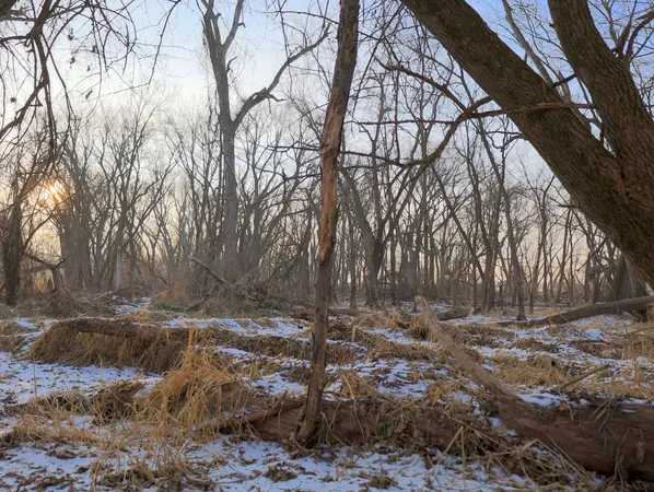 $306,000 | 0 Us Bypass, Freeport, IL 61032