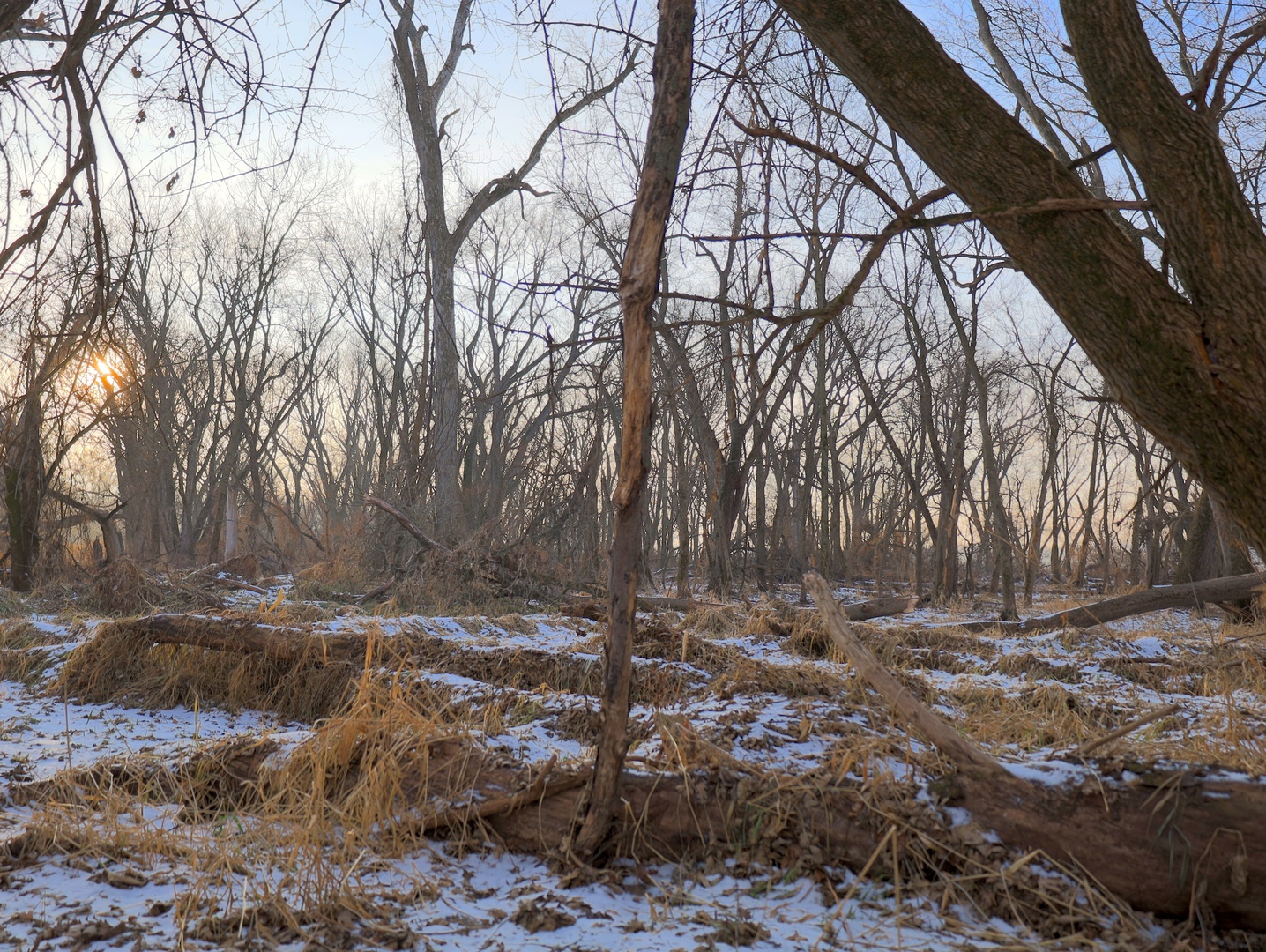 0 Us Bypass Freeport, IL 61032 - Photo 39 of 43 a backyard of a house with lots of green space