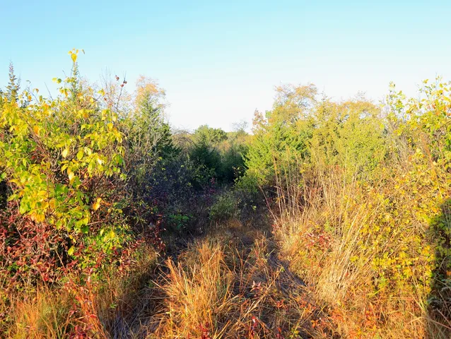 $306,000 | 0 Us Bypass, Freeport, IL 61032