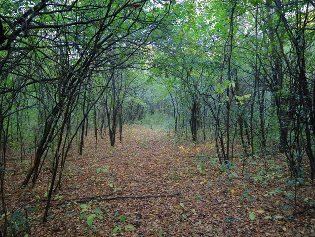 $306,000 | 0 Us Bypass, Freeport, IL 61032