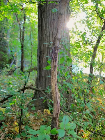 $306,000 | 0 Us Bypass, Freeport, IL 61032