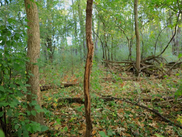 $306,000 | 0 Us Bypass, Freeport, IL 61032