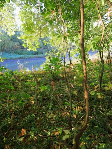 $306,000 | 0 Us Bypass, Freeport, IL 61032