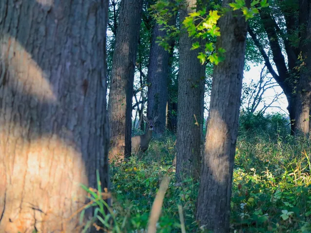 $306,000 | 0 Us Bypass, Freeport, IL 61032