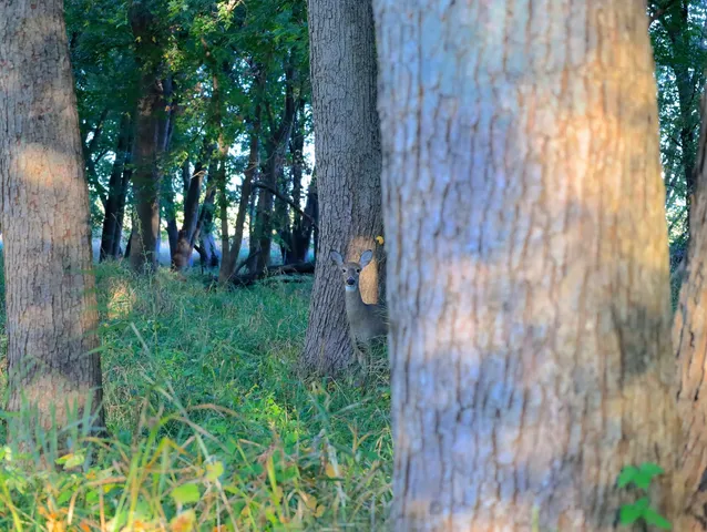 $306,000 | 0 Us Bypass, Freeport, IL 61032