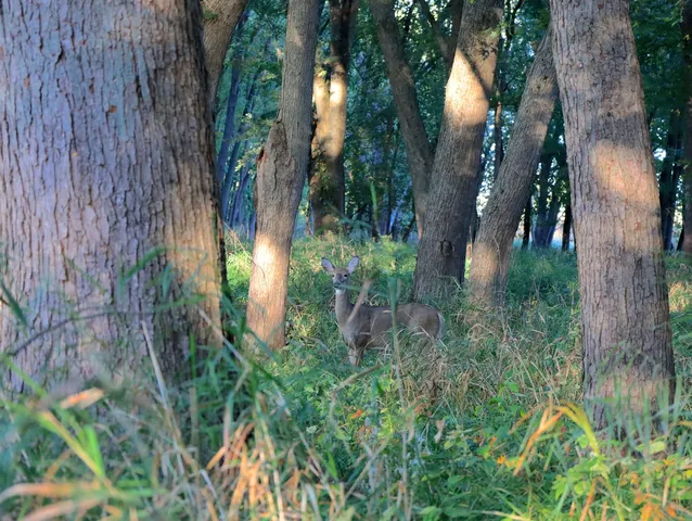 $306,000 | 0 Us Bypass, Freeport, IL 61032