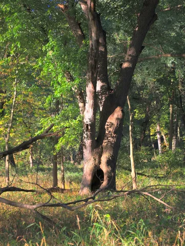 $306,000 | 0 Us Bypass, Freeport, IL 61032