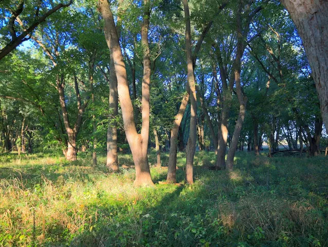 $306,000 | 0 Us Bypass, Freeport, IL 61032