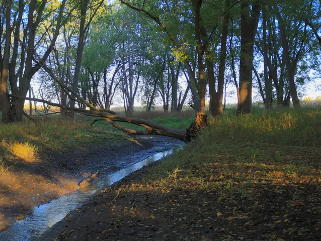 $306,000 | 0 Us Bypass, Freeport, IL 61032