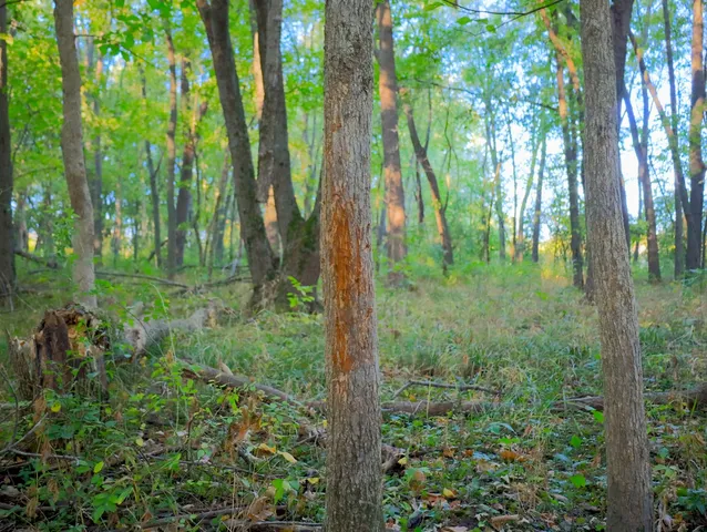 $306,000 | 0 Us Bypass, Freeport, IL 61032