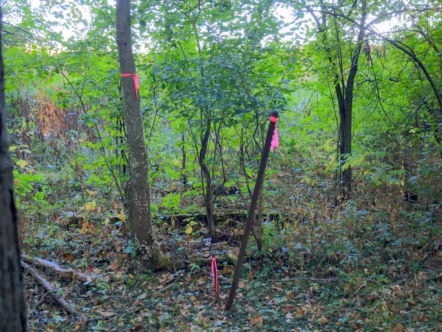 $306,000 | 0 Us Bypass, Freeport, IL 61032