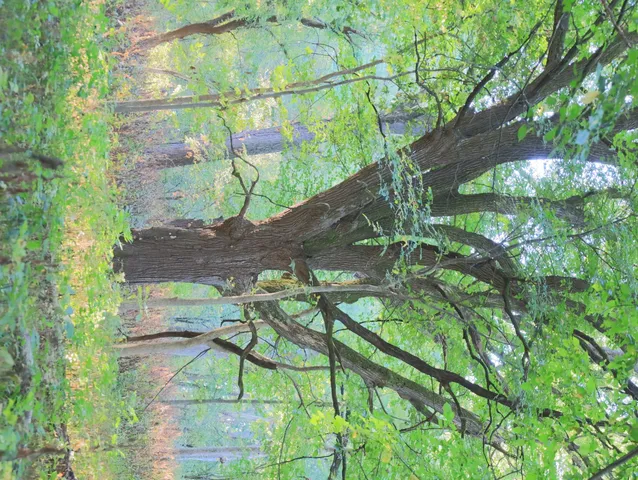 $306,000 | 0 Us Bypass, Freeport, IL 61032