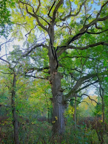 $306,000 | 0 Us Bypass, Freeport, IL 61032