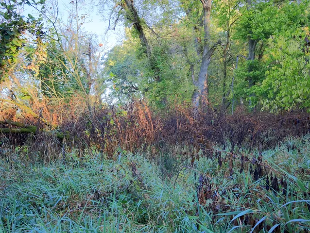 $306,000 | 0 Us Bypass, Freeport, IL 61032