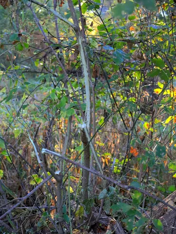 $306,000 | 0 Us Bypass, Freeport, IL 61032