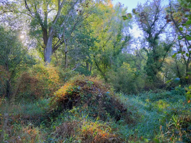 $306,000 | 0 Us Bypass, Freeport, IL 61032