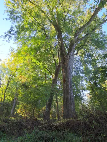 $306,000 | 0 Us Bypass, Freeport, IL 61032