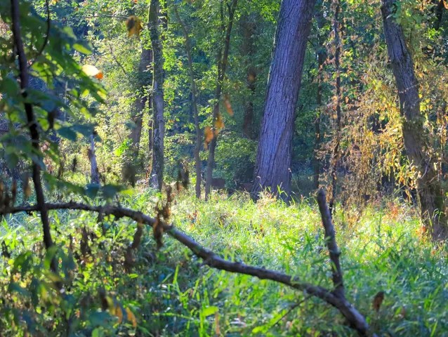 $306,000 | 0 Us Bypass, Freeport, IL 61032