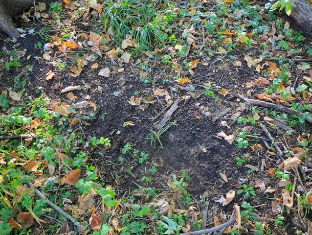 $306,000 | 0 Us Bypass, Freeport, IL 61032