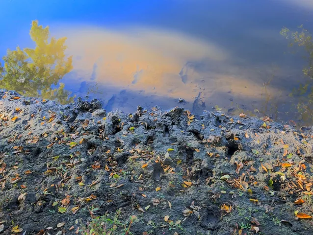 $306,000 | 0 Us Bypass, Freeport, IL 61032