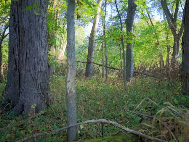 $306,000 | 0 Us Bypass, Freeport, IL 61032