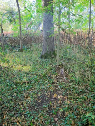 $306,000 | 0 Us Bypass, Freeport, IL 61032