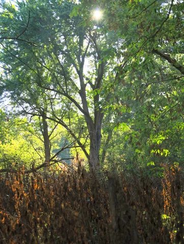 $306,000 | 0 Us Bypass, Freeport, IL 61032