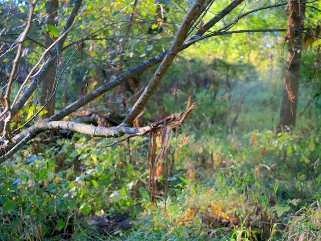 $306,000 | 0 Us Bypass, Freeport, IL 61032