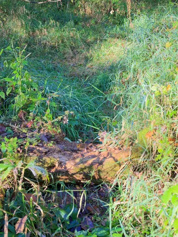 $306,000 | 0 Us Bypass, Freeport, IL 61032