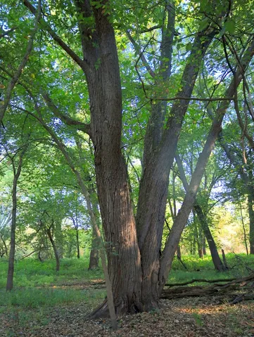 $306,000 | 0 Us Bypass, Freeport, IL 61032