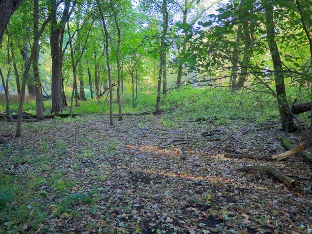 $306,000 | 0 Us Bypass, Freeport, IL 61032