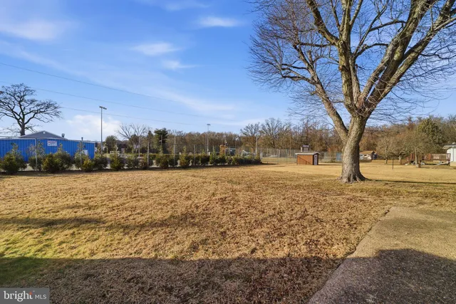 a view of yard with trees