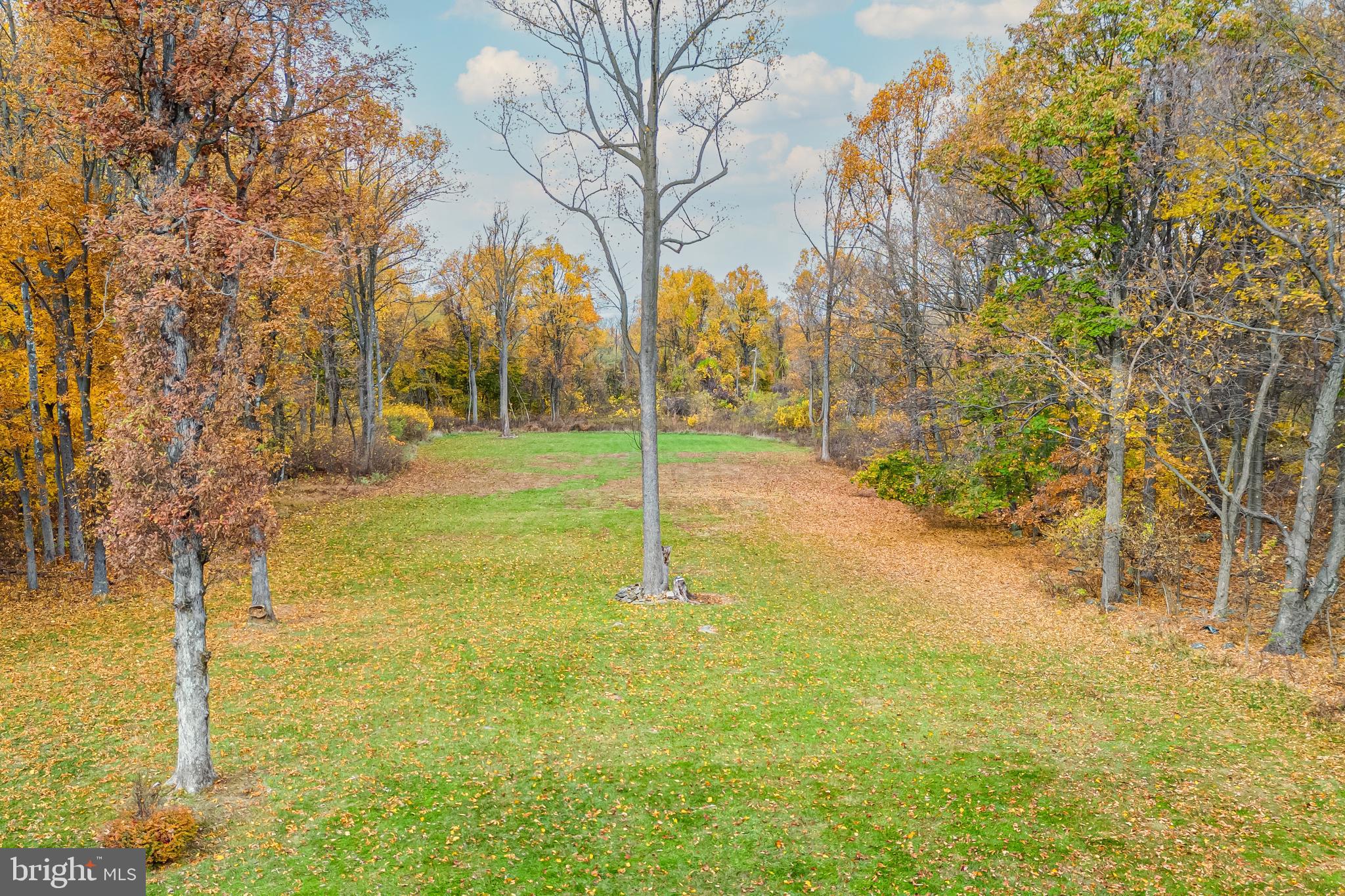 17345 Raven Rocks Road Bluemont, VA 20135 - Photo 18 of 99