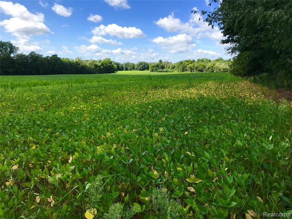 V/l North V/l N South Allen Road Allen, MI 49227 - Photo 1 of 14