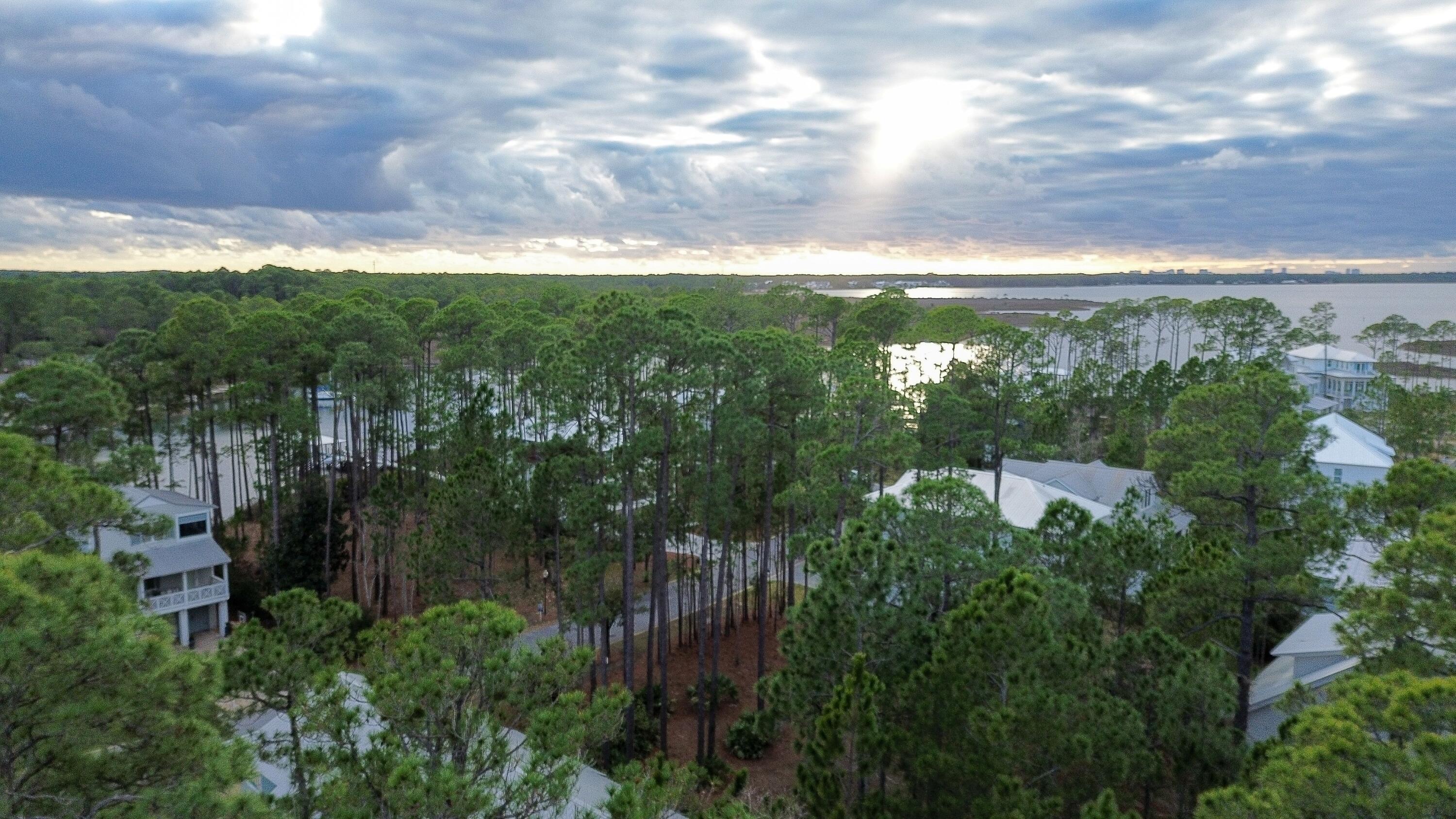 I-14 Mallard Lane Santa Rosa Beach, FL 32459 - Photo 13 of 25 a view of a city with lush green forest