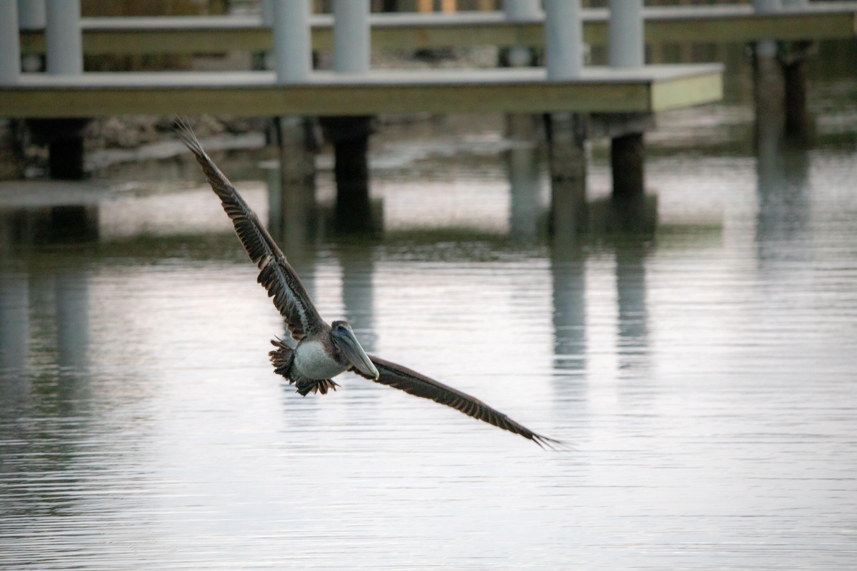 I-14 Mallard Lane Santa Rosa Beach, FL 32459 - Photo 4 of 25 a view of entryway