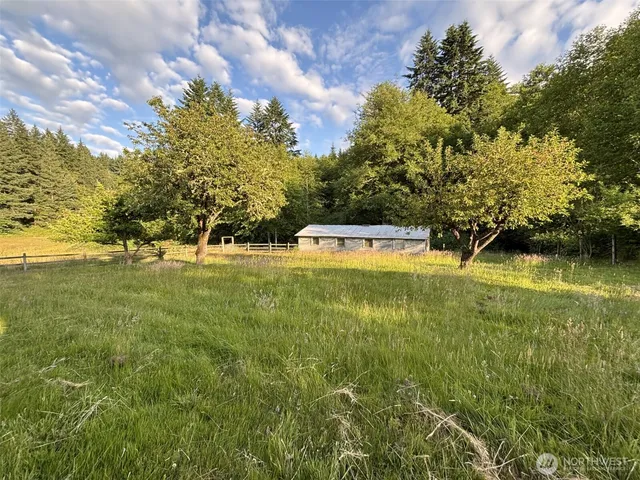 a view of grassy field with trees
