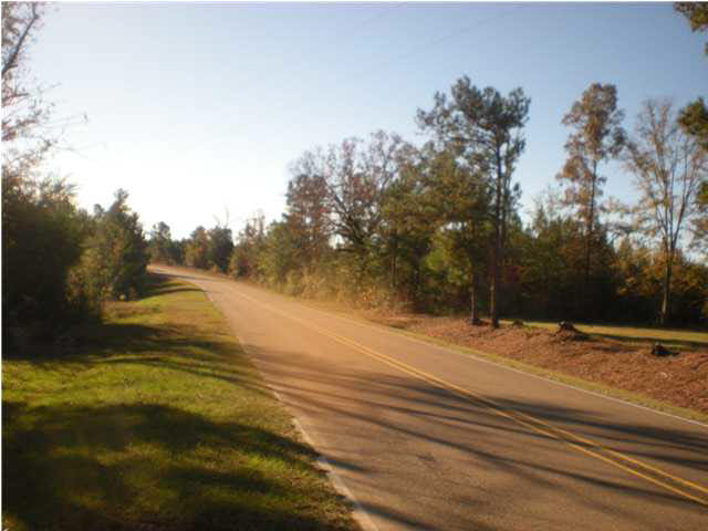 1991 St John Road Braxton, MS 39044 - Photo 5 of 14 street view