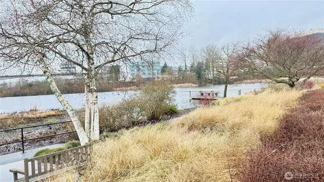 a view of backyard of the house