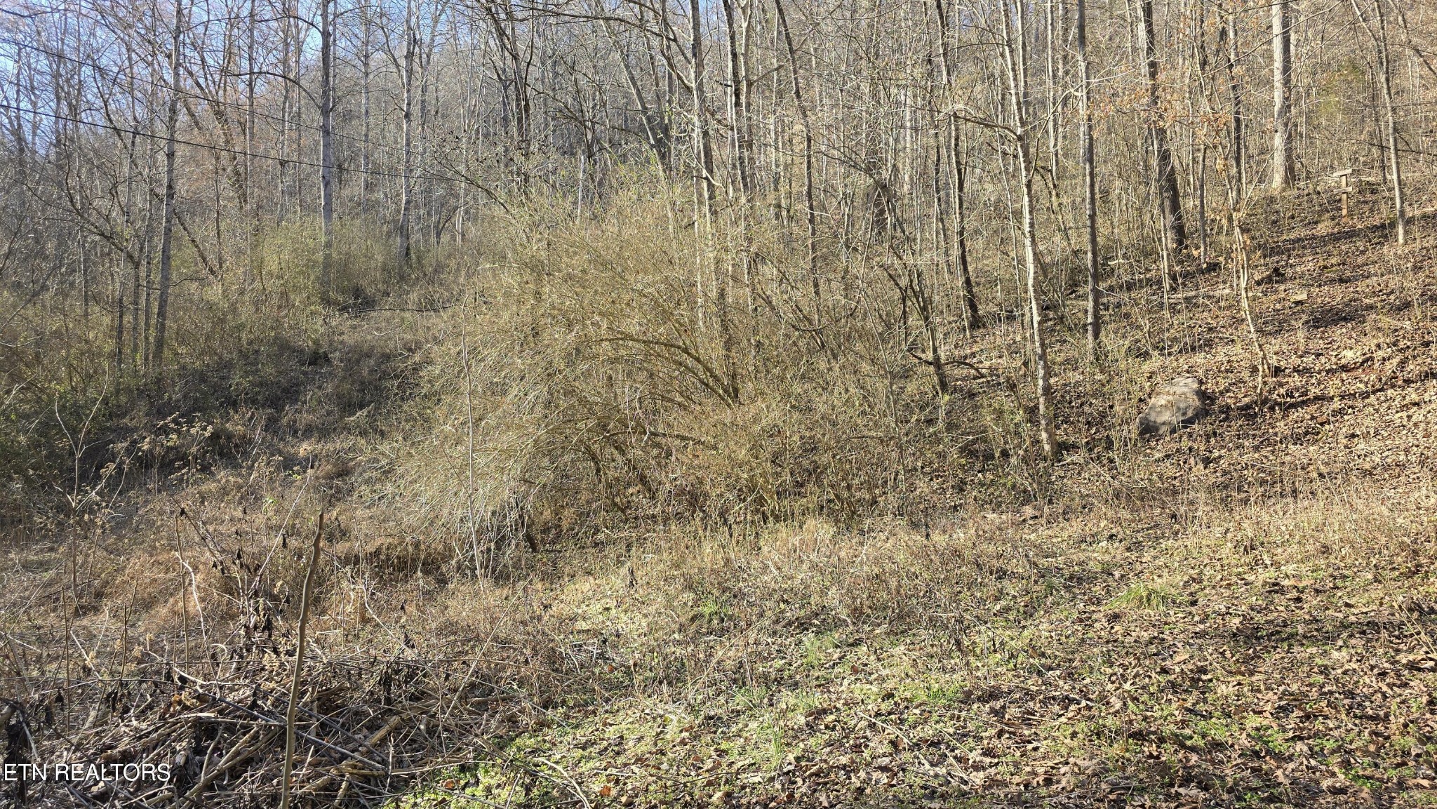 0 Red Ankle Road Sweetwater, TN 37874 - Photo 21 of 32 Gallery Image 21