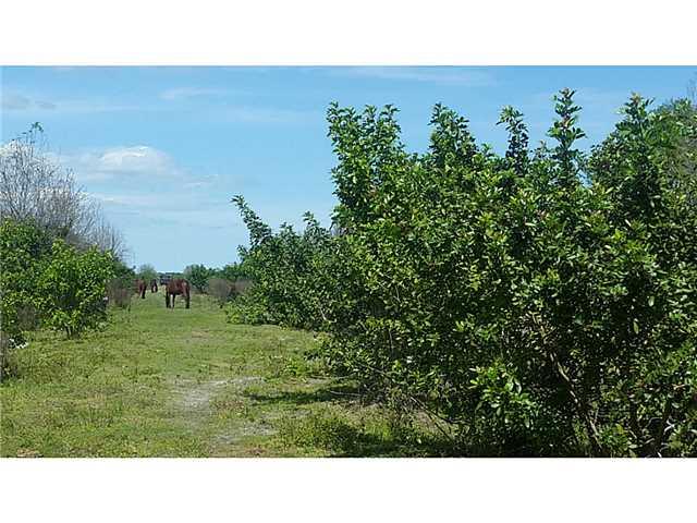 0 Russo Road Fort Pierce, FL 34982 - Photo 24 of 25 Gallery Image 24