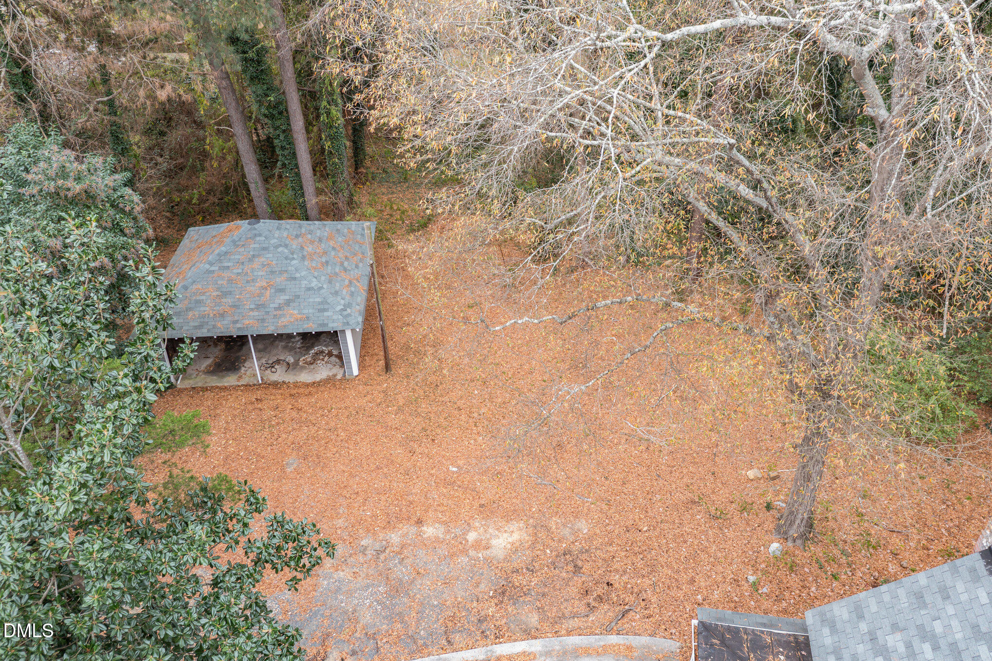 2636 Chapel Hill Road Durham, NC 27707 - Photo 30 of 35 a view of backyard with a trees