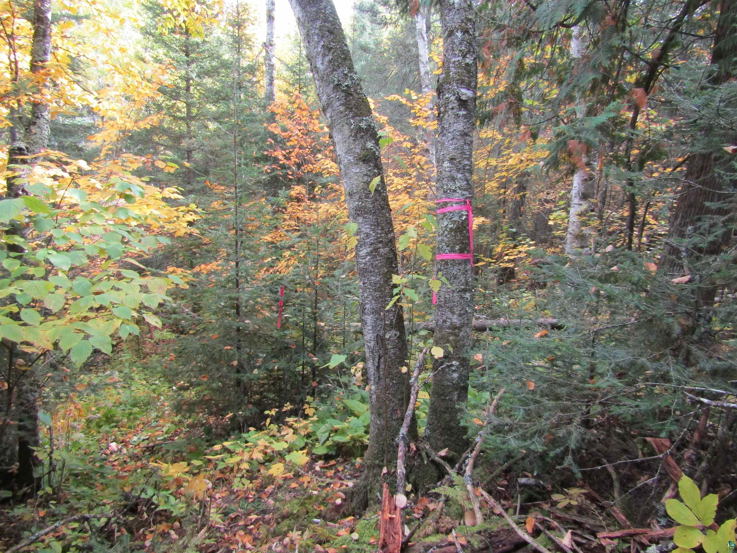 Xxx West Shagawa Road Ely, MN 55731 - Photo 25 of 30 Gallery Image 25